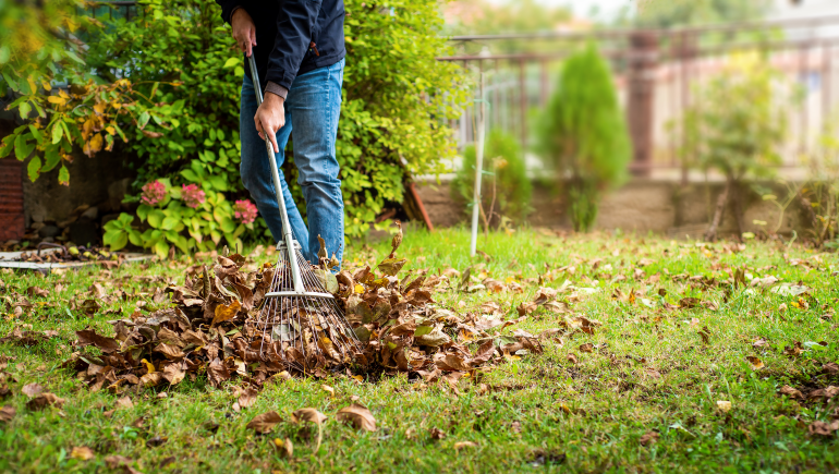 How to prepare your lawn for winter